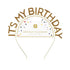 Luxe Gold <br> Birthday Headband